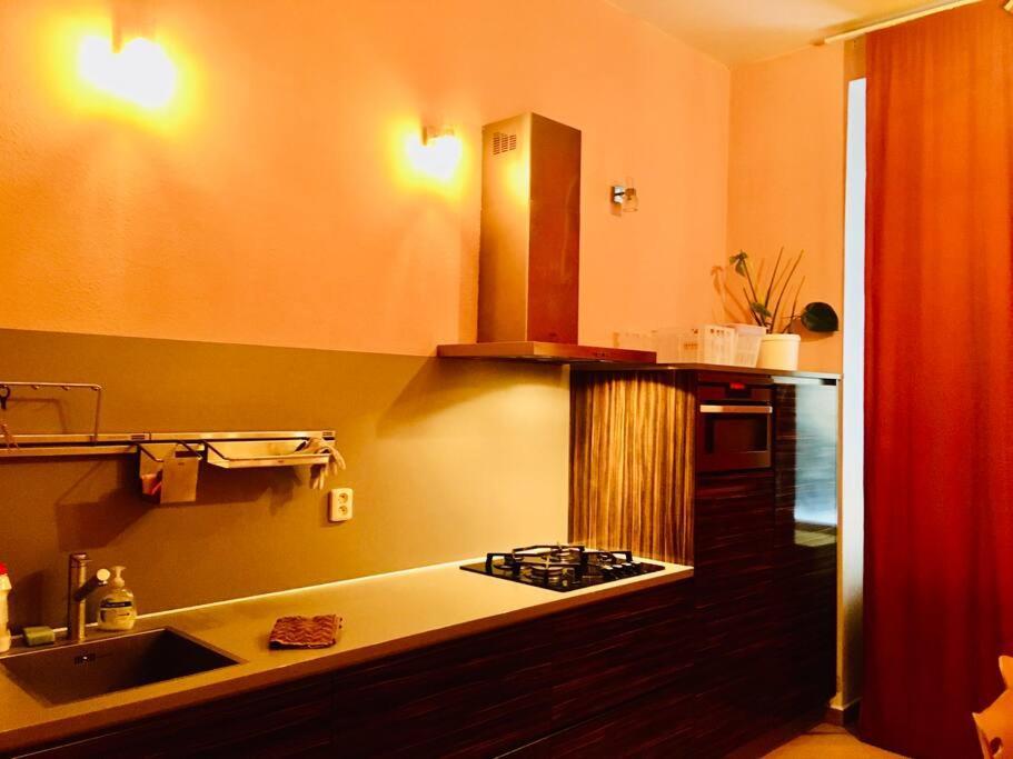 Hotel Apartment In Prague 2 Square Exterior photo